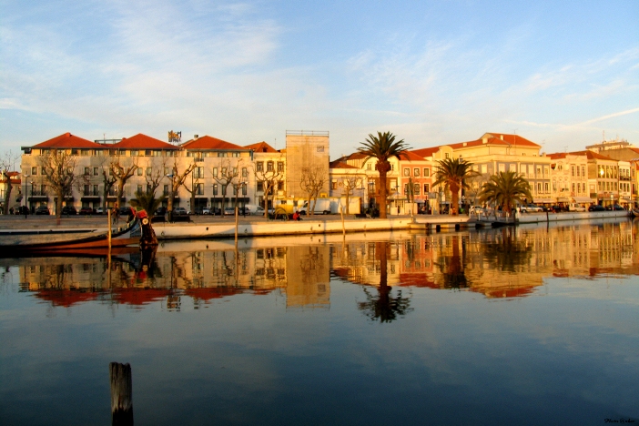Hotel Moliceiro